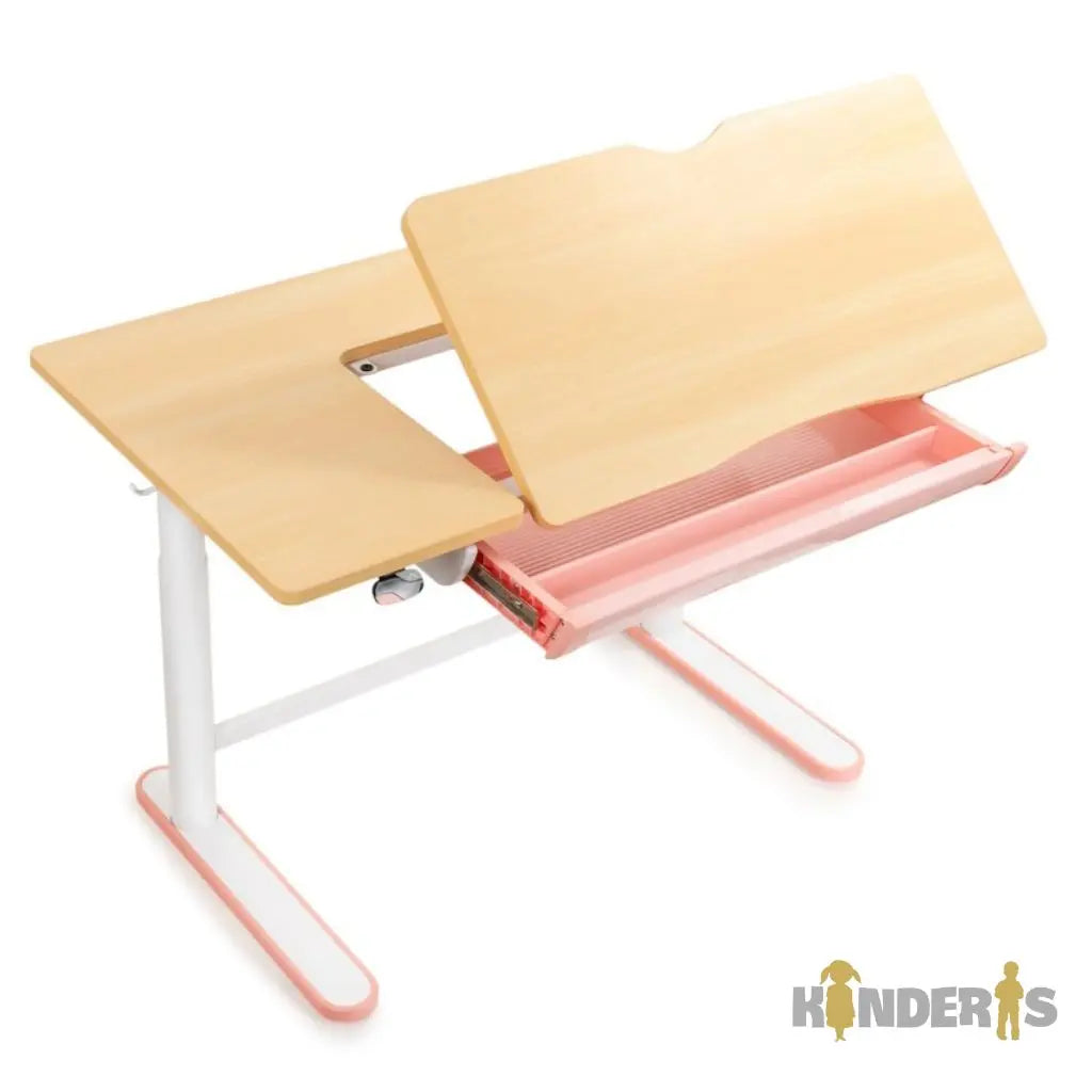 Elektrinis ergonomiškas stalas su papildoma lentyna ir stalčiais