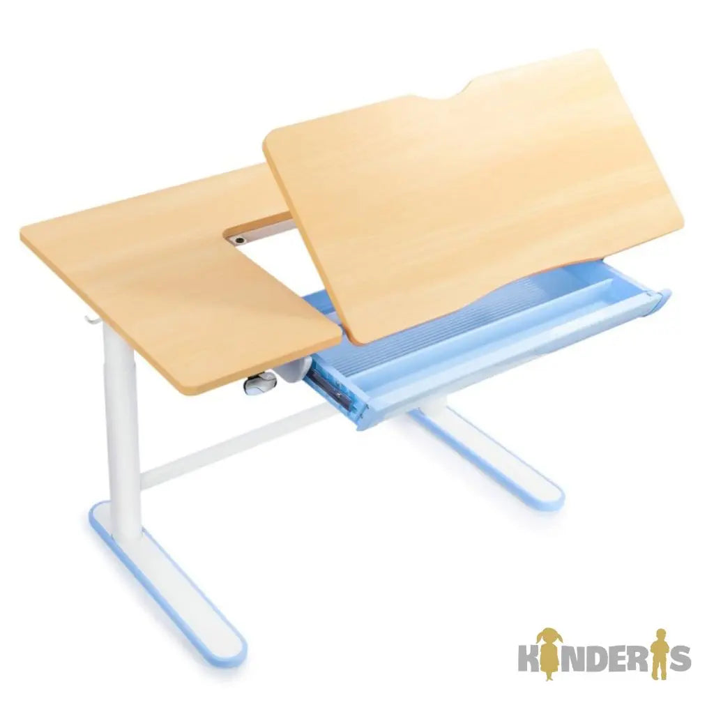 Elektrinis ergonomiškas stalas su papildoma lentyna ir stalčiais