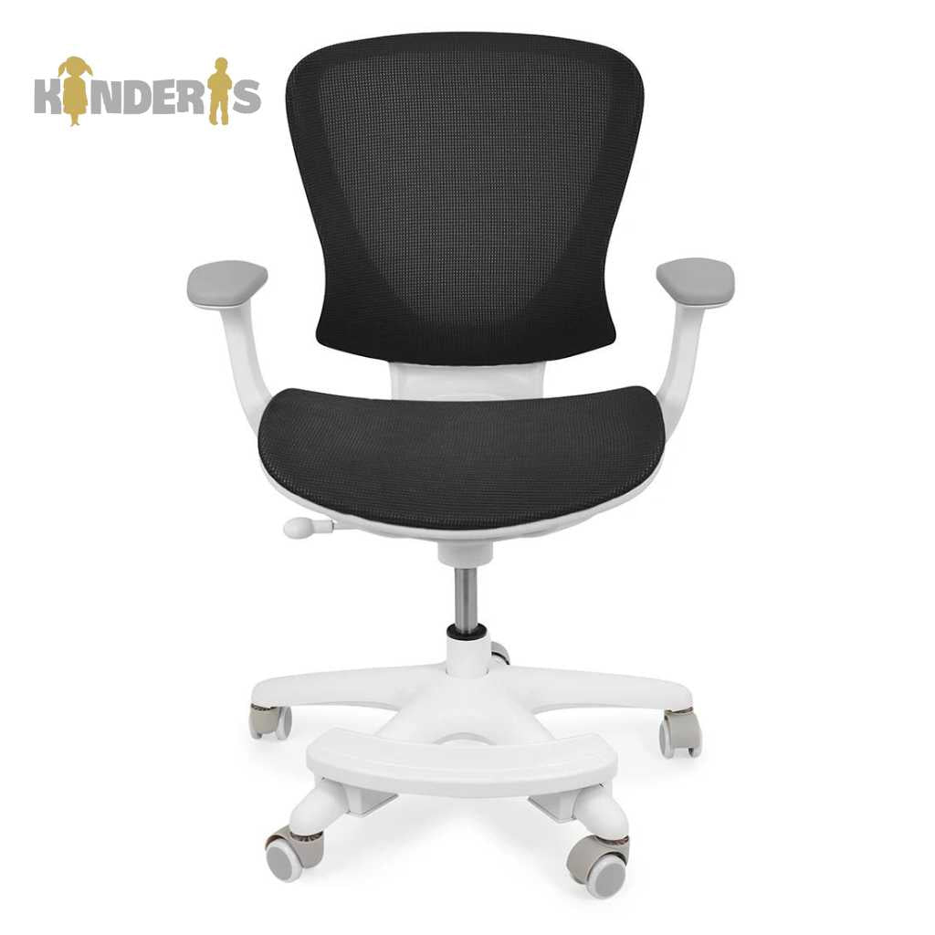 Godrej motion discount mid back chair