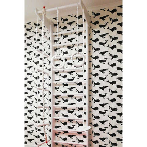 Gymnastics wall with accessories 220X66cm, white